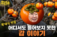 이강민의 잡다한 지식사전